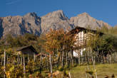 20071104_144918 Vigne.jpg